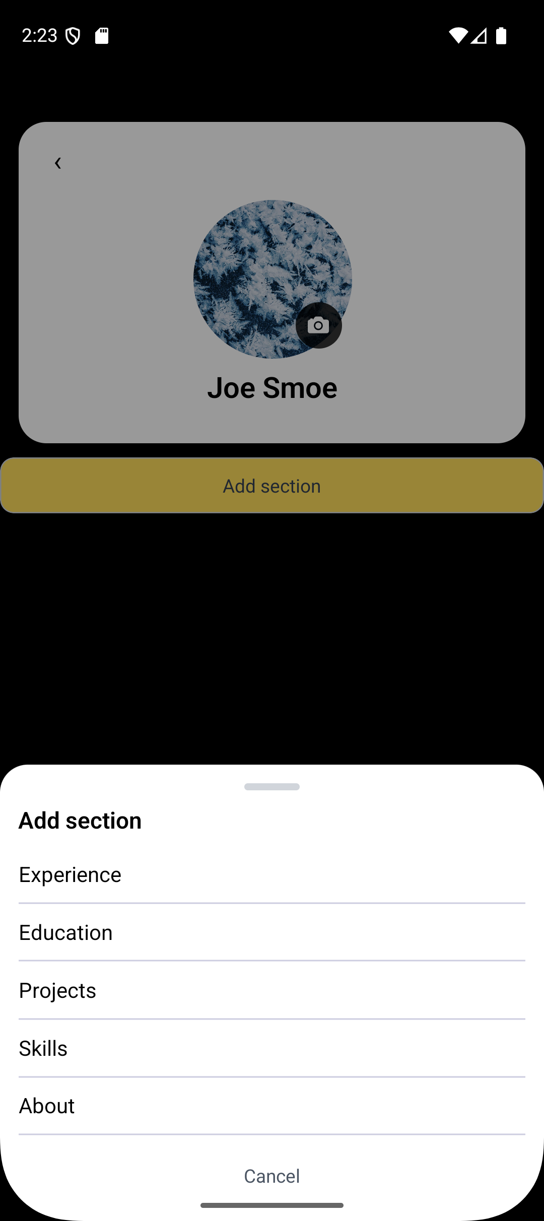 Profile customization screen where a student edits their details and skills